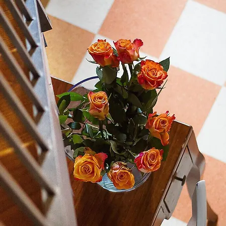 A Casa Mastacchi Bed & Breakfast Siena